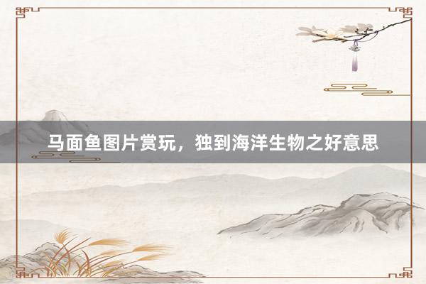马面鱼图片赏玩，独到海洋生物之好意思