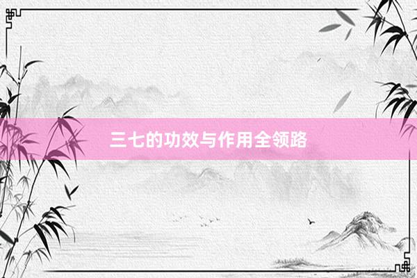 三七的功效与作用全领路